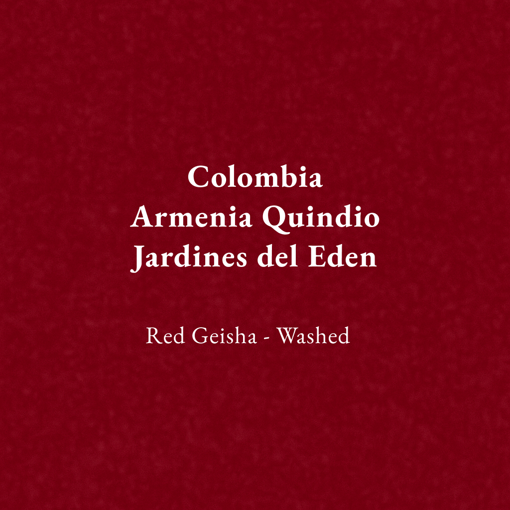 Colombia Armenia Quindio Jardines del Eden Red Geisha Washed(75g)
