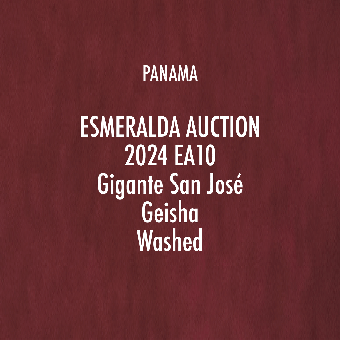 【Panama Esmeralda Auction 2024】 EA10 Gigante San José Geisha Washed (15g)