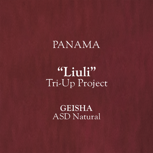 【100g】Panama "Liuli" Tri-Up Project Geisha ASD Natural