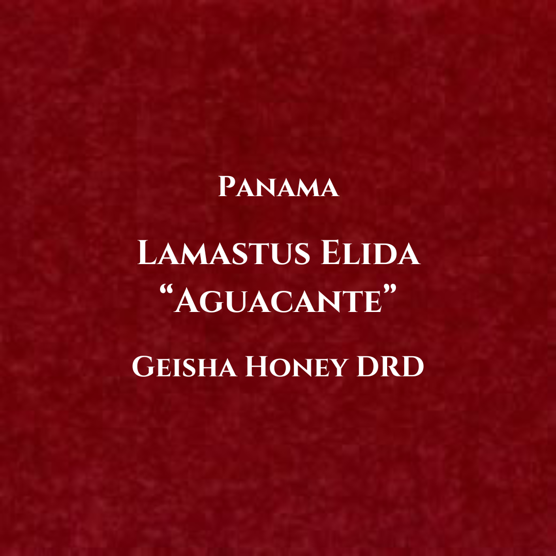 Panama, Lamastus - Elida. GEISHA, Honey - DRD Aguacate. [100g]