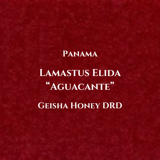 Panama, Lamastus - Elida. GEISHA, Honey - DRD Aguacate. [100g]