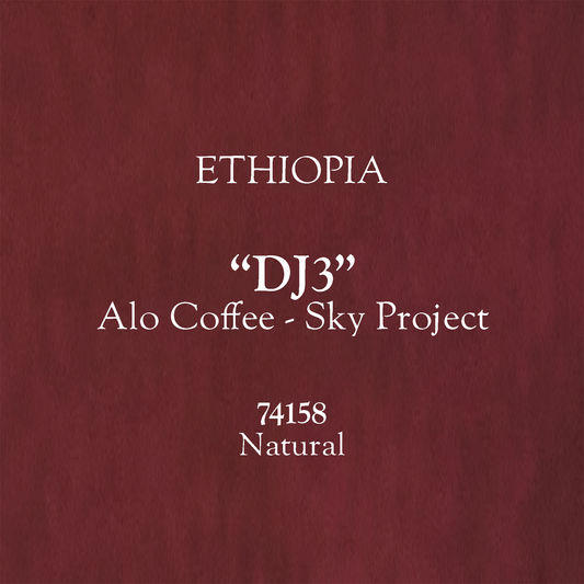 【100g】Ethipia "DJ3" Alo Sky Project 74168 Natural