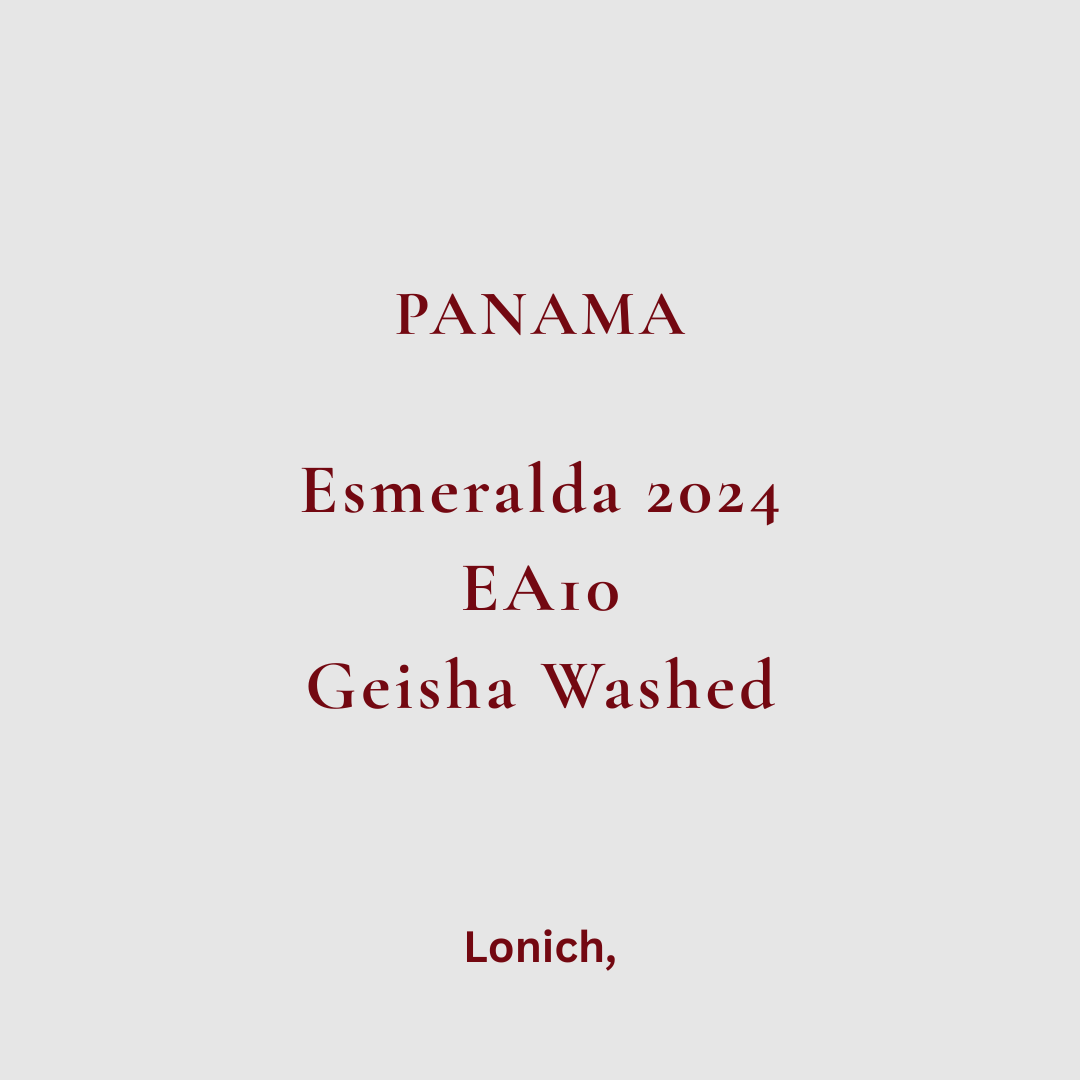 【Panama Esmeralda Auction 2024】 EA10 Gigante San José Geisha Washed (15g)