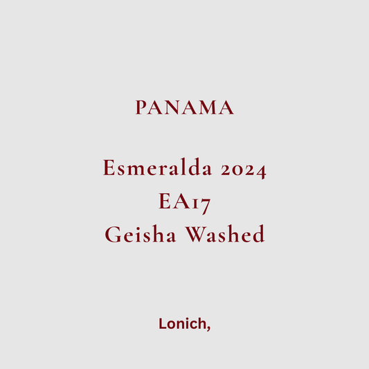 2024 EA17 Buena Vista San José Geisha Cold Fermented Washed(15g)