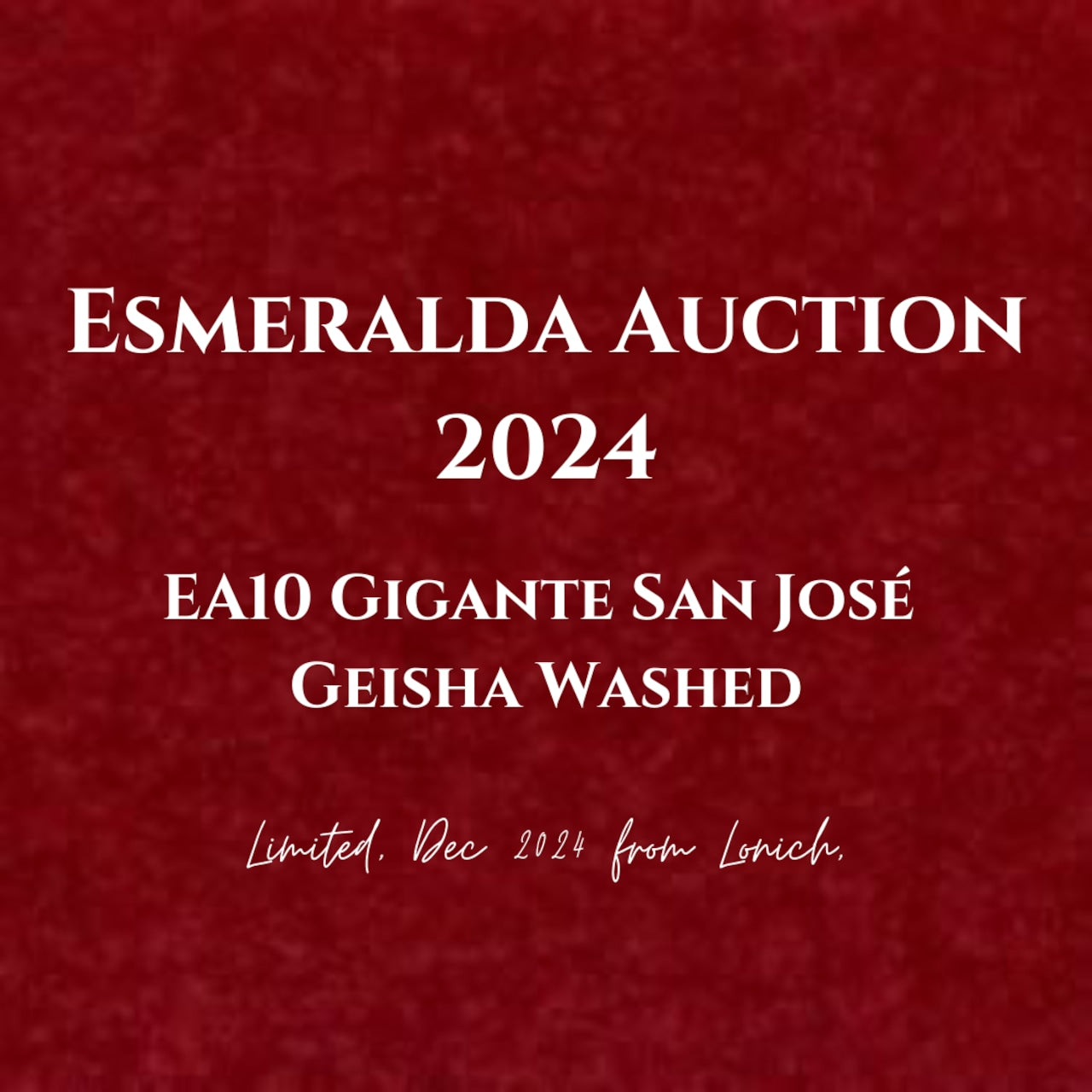 【Esmeralda Auction 2024】 EA10 Gigante San José Geisha Washed (15g)