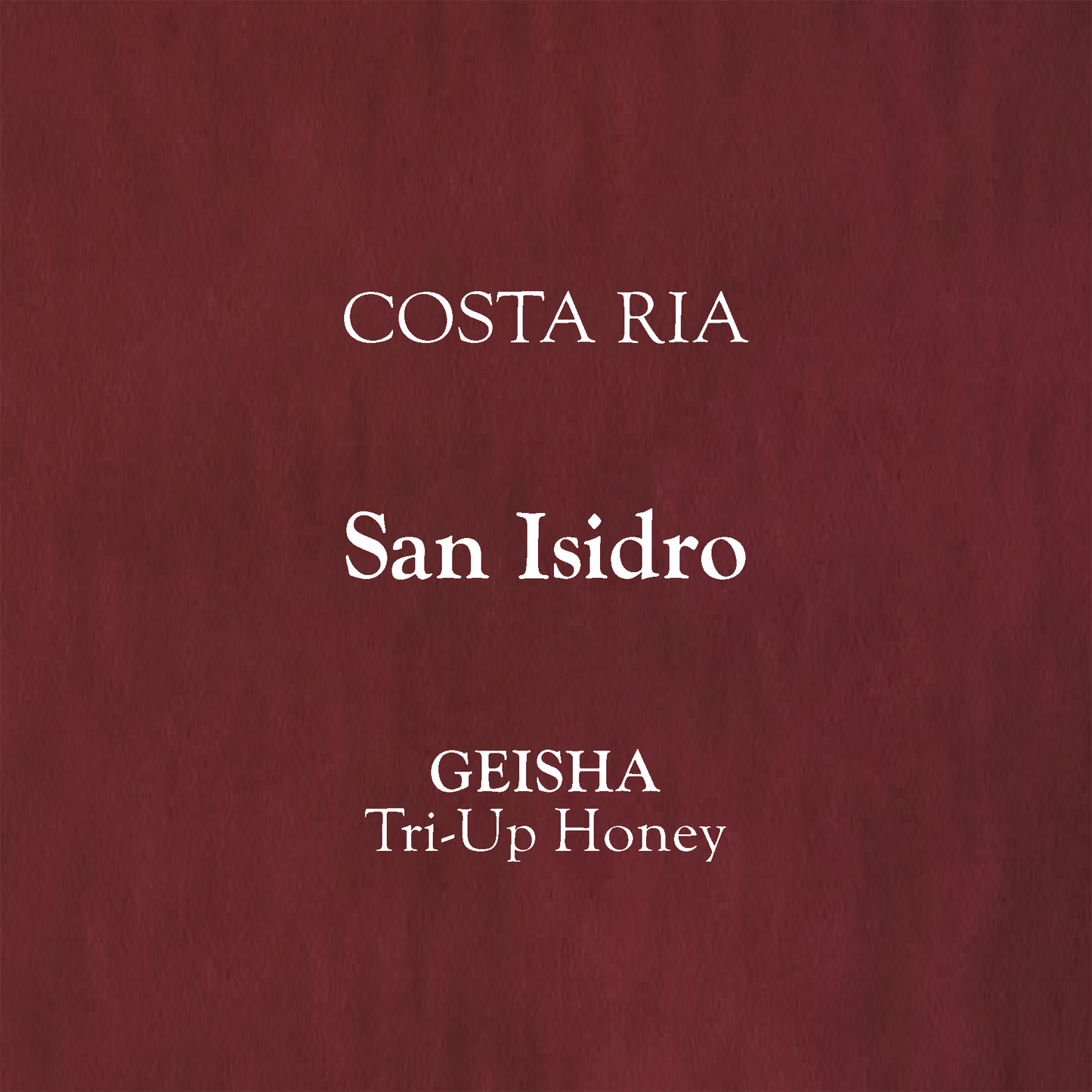 【75g】 Costa Rica - Tarrazú, San Isidro, Geisha, Tri-Up Honey.