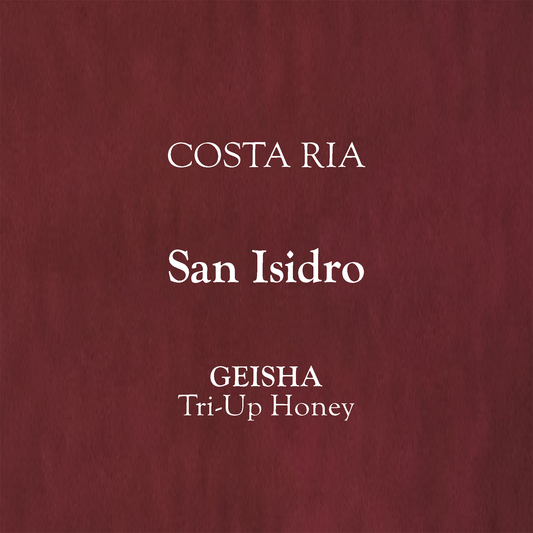 【75g】 Costa Rica - Tarrazú, San Isidro, Geisha, Tri-Up Honey.