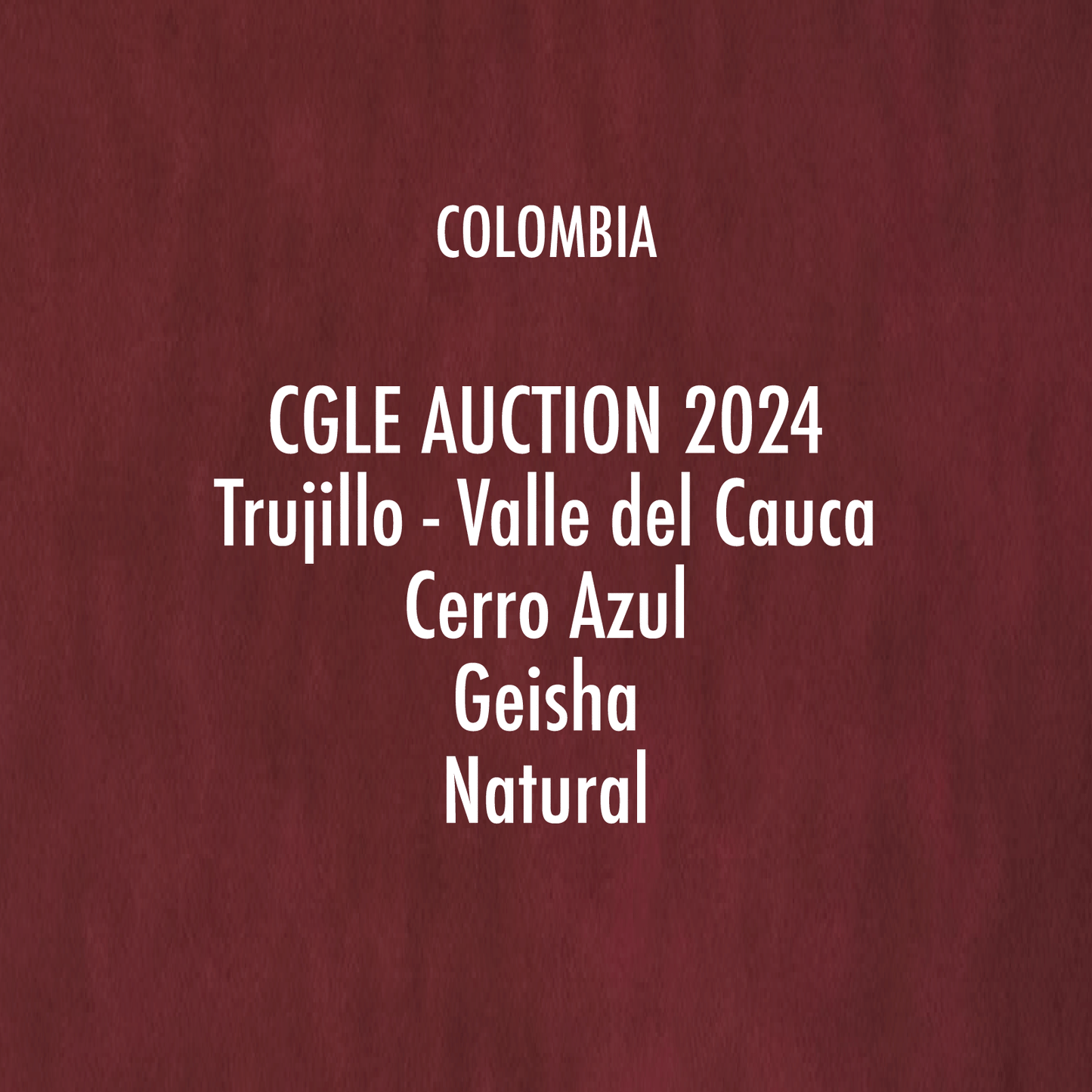 【CGLE Auction】Cerro Azul GN "Andean Cock-of-the-Rock" 92+(75g)