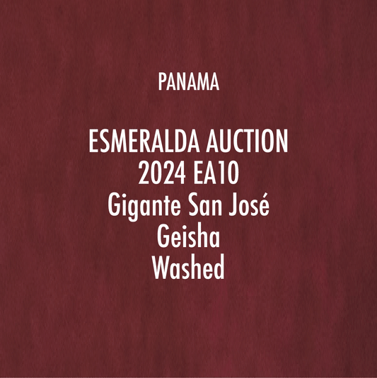 【Panama Esmeralda Auction 2024】 EA10 Gigante San José Geisha Washed (15g)