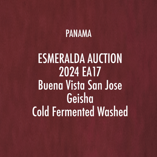 2024 EA17 Buena Vista San José Geisha Cold Fermented Washed(15g)