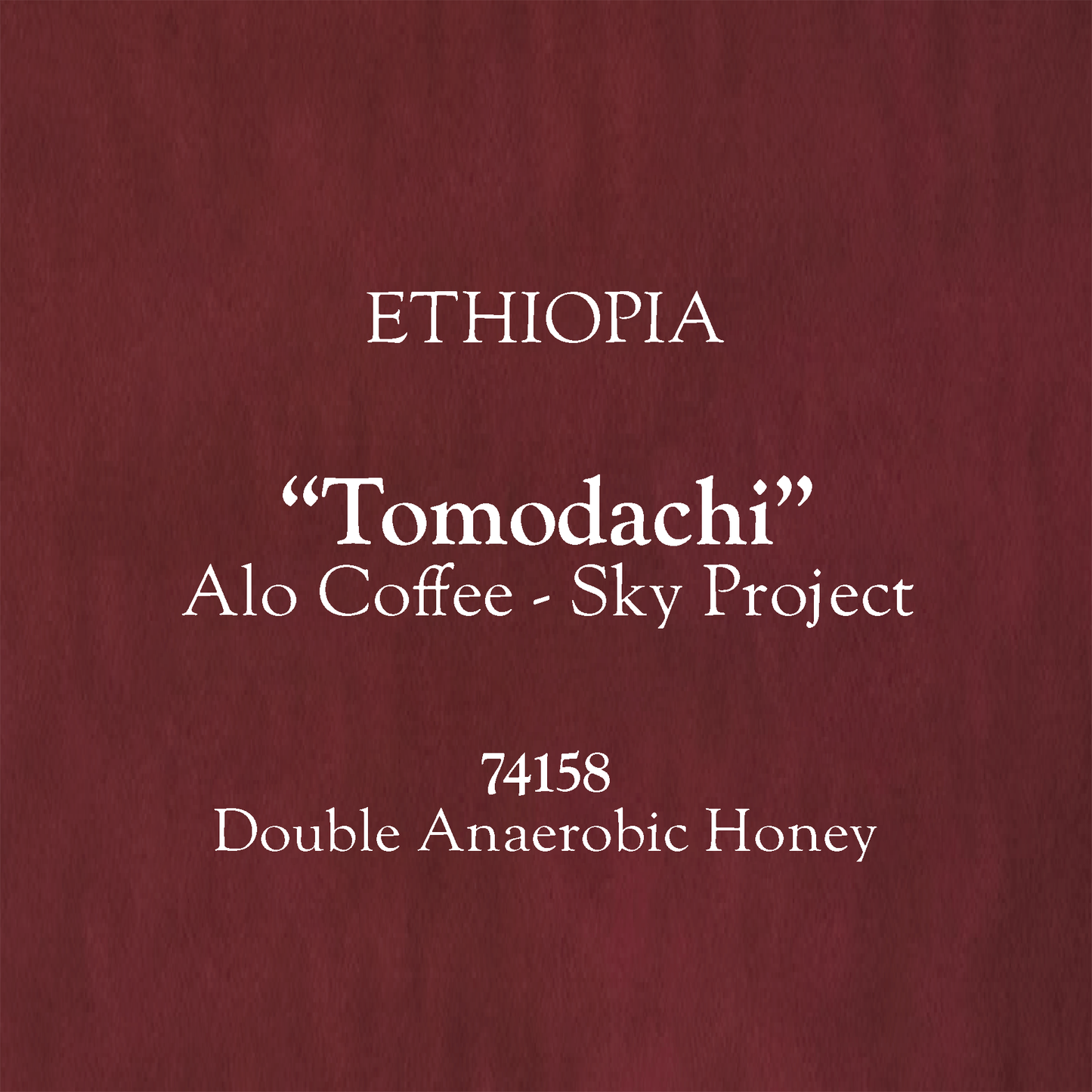 【100g】Ethiopia Sky Project "Tomodachi" 74158 Double Anaerobic Honey
