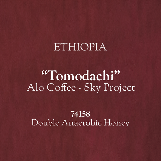 【100g】Ethiopia Sky Project "Tomodachi" 74158 Double Anaerobic Honey
