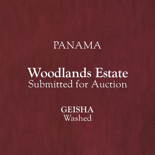 Panama, Woodlands Estate. GEISHA, Washed. [100g]